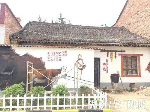新农村建设墙绘 (9)